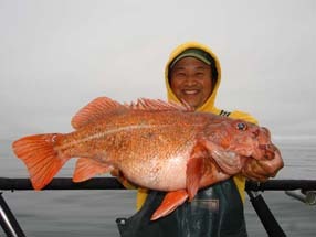 Darrin Seiji